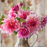 Dahlia 'Otto's Thrill'