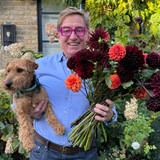 Johnnie Boden's Dahlia Collection