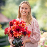 Jemima's Dahlia Collection