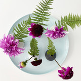 Tricia Guild's Dahlia Collection