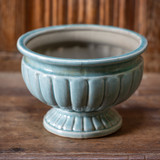 Paperwhites in an Ornate Ceramic Planter
