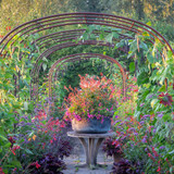 Demo and Dinner Evening -  A Summer Flower Garden with Shane Connolly and Sarah Raven at Perch Hill Farm, East Sussex