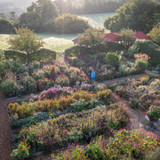 Demo and Dinner Evening - With Tom Stuart-Smith and Sarah Raven at Perch Hill Farm, East Sussex