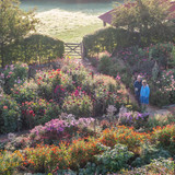 Demo and Dinner Evening - Birds with Adam Nicolson at Perch Hill Farm, East Sussex