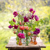 Exclusive Garden Shopping Event at Thyme, Gloucestershire