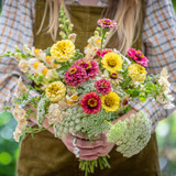 Milli Proust - How Does Your Garden Grow? A taster course for beginner gardeners at Perch Hill Farm, East Sussex