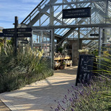 Grow Your Own Cut Flowers with Sarah Raven at Rutland Nursery, Oakham