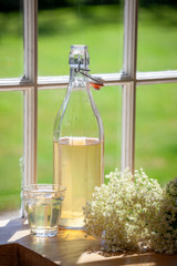 elderflower cordial recipe