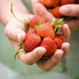 French strawberry jam recipe