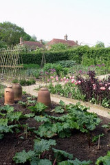 crop rotation in your veg patch