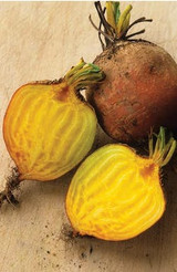 top 5 vegetable seeds to sow in may