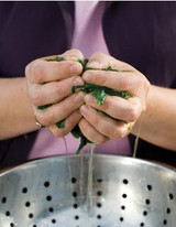 chard and coconut soup recipe