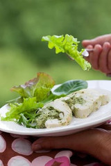 chicken breast stuffed with garden herbs recipe