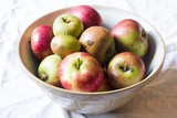 top 10 apples to grow in your garden