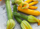 how to plant, grow & care for courgettes