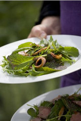 duck and peppery leaf salad recipe