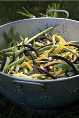 lemon bean salad recipe