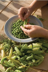 samphire with fresh peas and young broad beans recipe