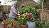 gardening at home with sarah | a tour of the dutch yard