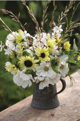 sarah's guide to hardy annual flowers