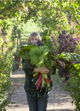 October in the garden