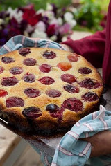 party plum tart recipe