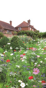 perfect plants to create a cottage garden style