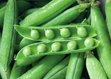 how to plant, grow & care for peas