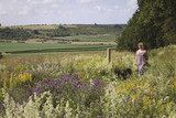 my love of wild flowers