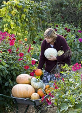 September in the garden
