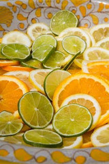 growing your own citrus fruit