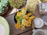 stuffed courgette flowers with goat's cheese