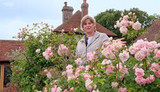 gardening at home with sarah | the rose garden in june