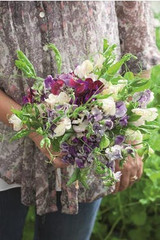 sweet peas at perch hill