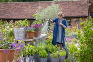 Container gardening: the basics