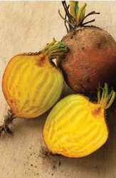 top 5 vegetable seeds to sow in may