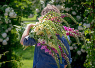 how to plant, grow & care for foxgloves (digitalis)