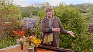 gardening at home with sarah | favourite wallflowers