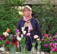 gardening at home with Sarah | the best tulips at Perch Hill