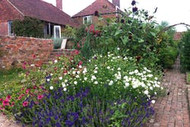 growing a hardy annual cutting patch
