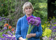 how to plant, grow & care for alliums