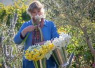 how to plant, grow & care for daffodils (narcissi)