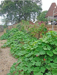 using lobster pots for climbers