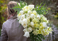 how to plant, grow & care for tulips