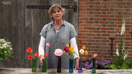 sarah's favourite july poppies