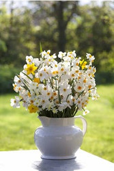 March in the garden