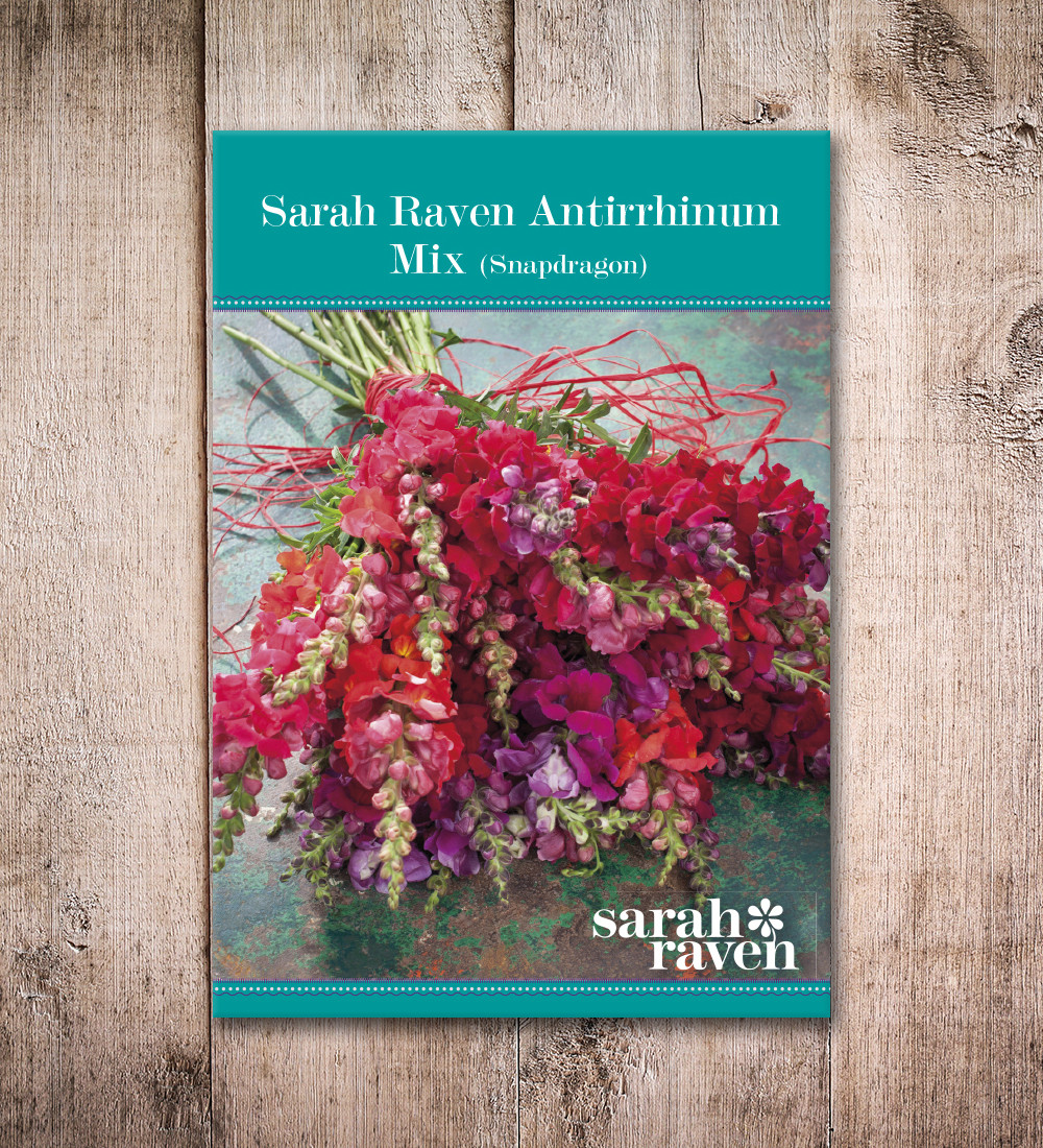 Buy Sarah Raven Antirrhinum Collection Sarah Raven