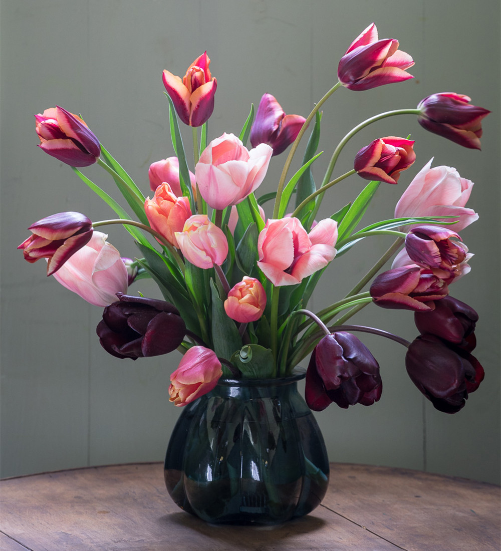 Pewter Tulip Collection | Sarah Raven