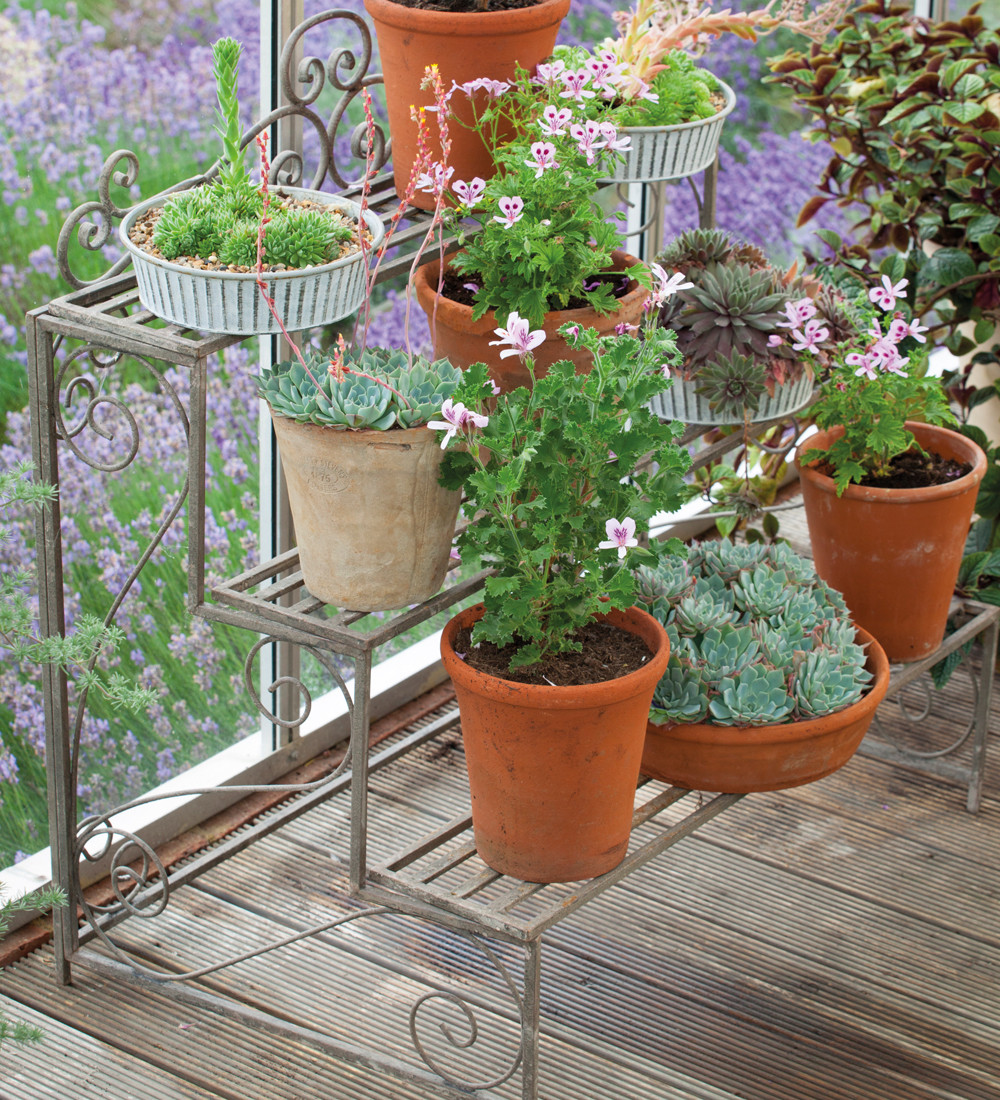 plant theatre store Corpus Christis Indoor Plant Shop – Planted CCTX