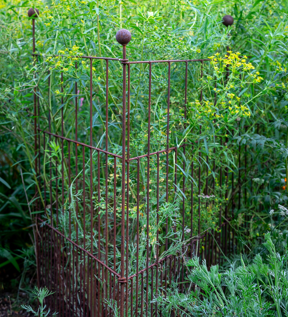 Plant Screen | Plant Supports & Panels | Sarah Raven